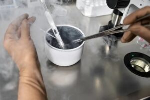 A Guide To Egg Freezing: Mature Vs. Immature Eggs Explained