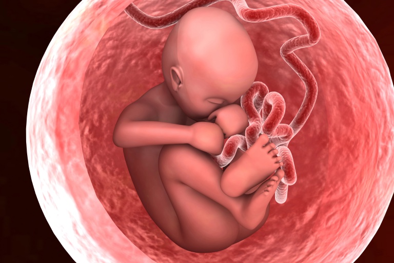 How To Identify A Nonviable Vs. Viable Pregnancy: A Guide